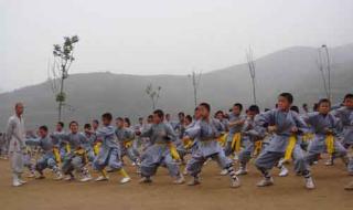 嵩山少林寺武术学院 嵩山少林寺武术学院
